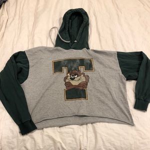 Vintage Warner Bros Looney Tunes Cropped Hoodie